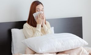 Bantal Anti Alergi,