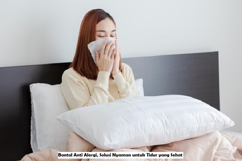Bantal Anti Alergi,