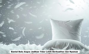 Bantal Bulu Angsa