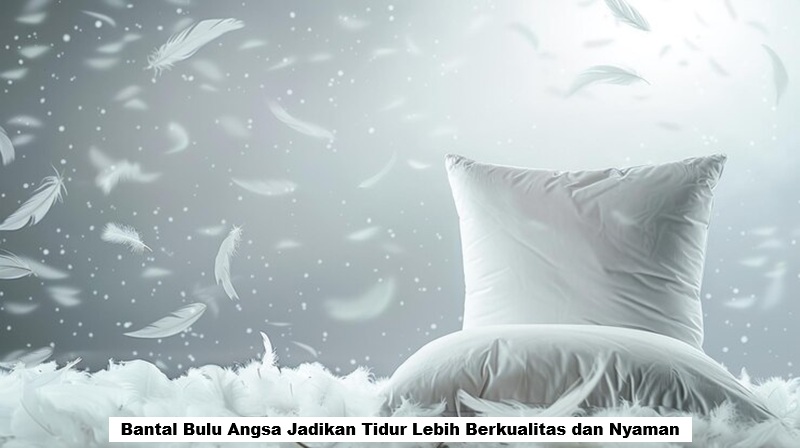 Bantal Bulu Angsa