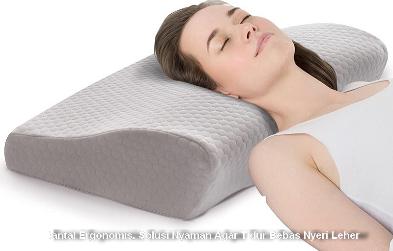 Bantal Ergonomis,